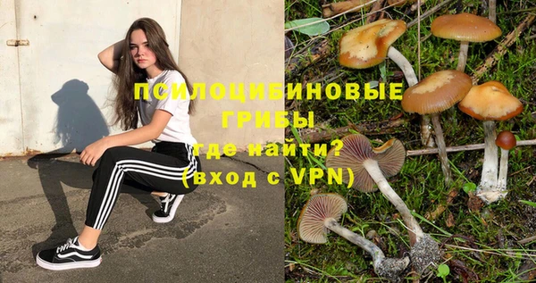 герыч Белокуриха