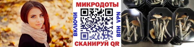 Псилоцибиновые грибы мухоморы  Купить закладки  Кола 