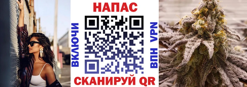 Купить где  Кола  Канабис планчик 